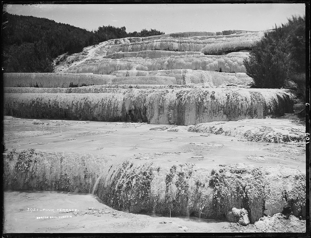 Pink Terraces